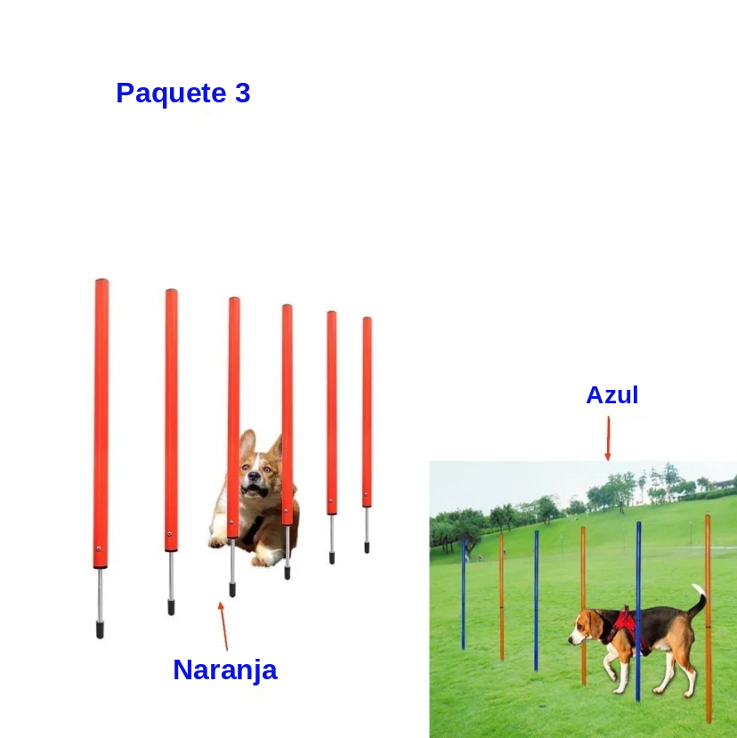 Kit de Agility Portátil para Perros: Jalones, Mástiles y Set de Salto