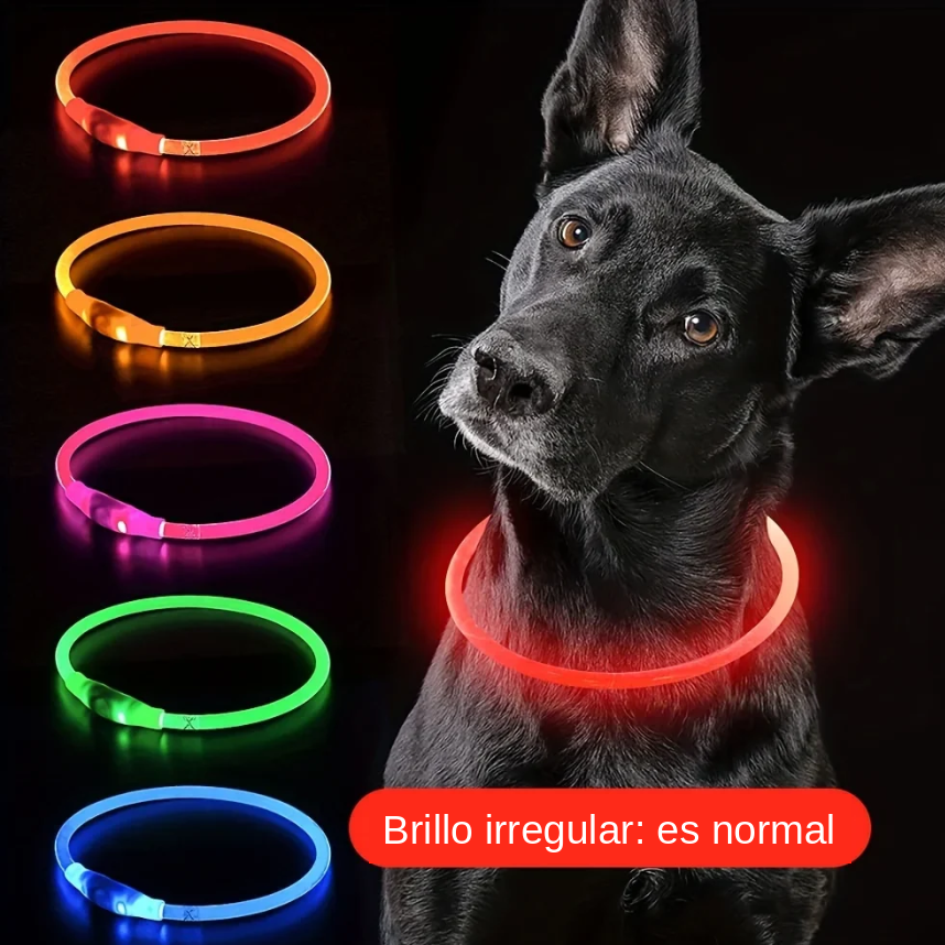 Collar LED Luminoso Recargable USB Antipérdida para Perros