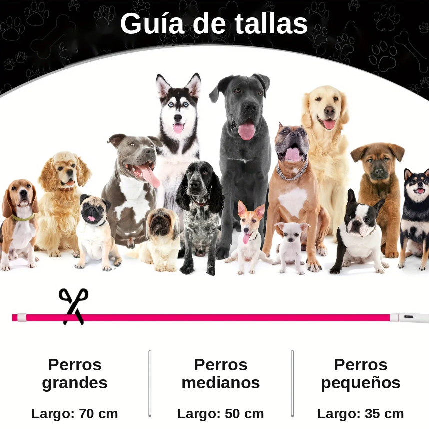 Collar LED Luminoso Recargable USB Antipérdida para Perros