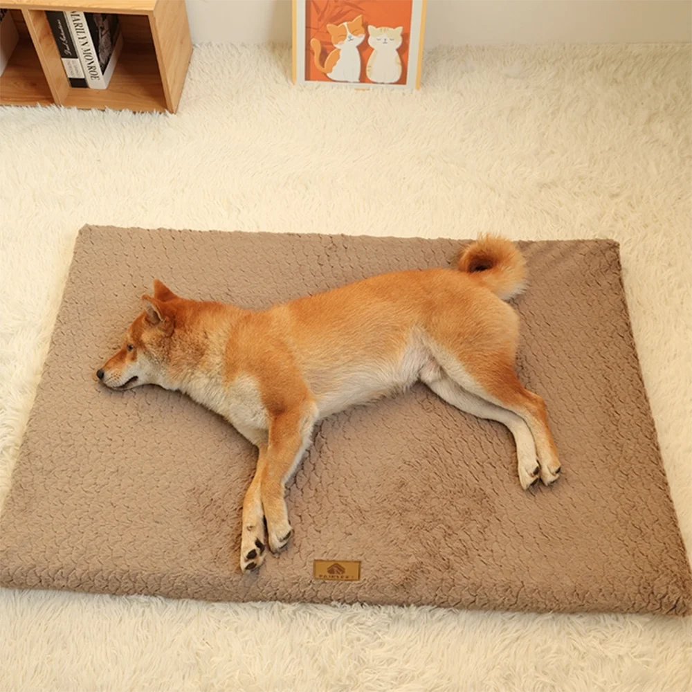 Cama Ortopédica 3D con Funda Desmontable y Lavable para Perros