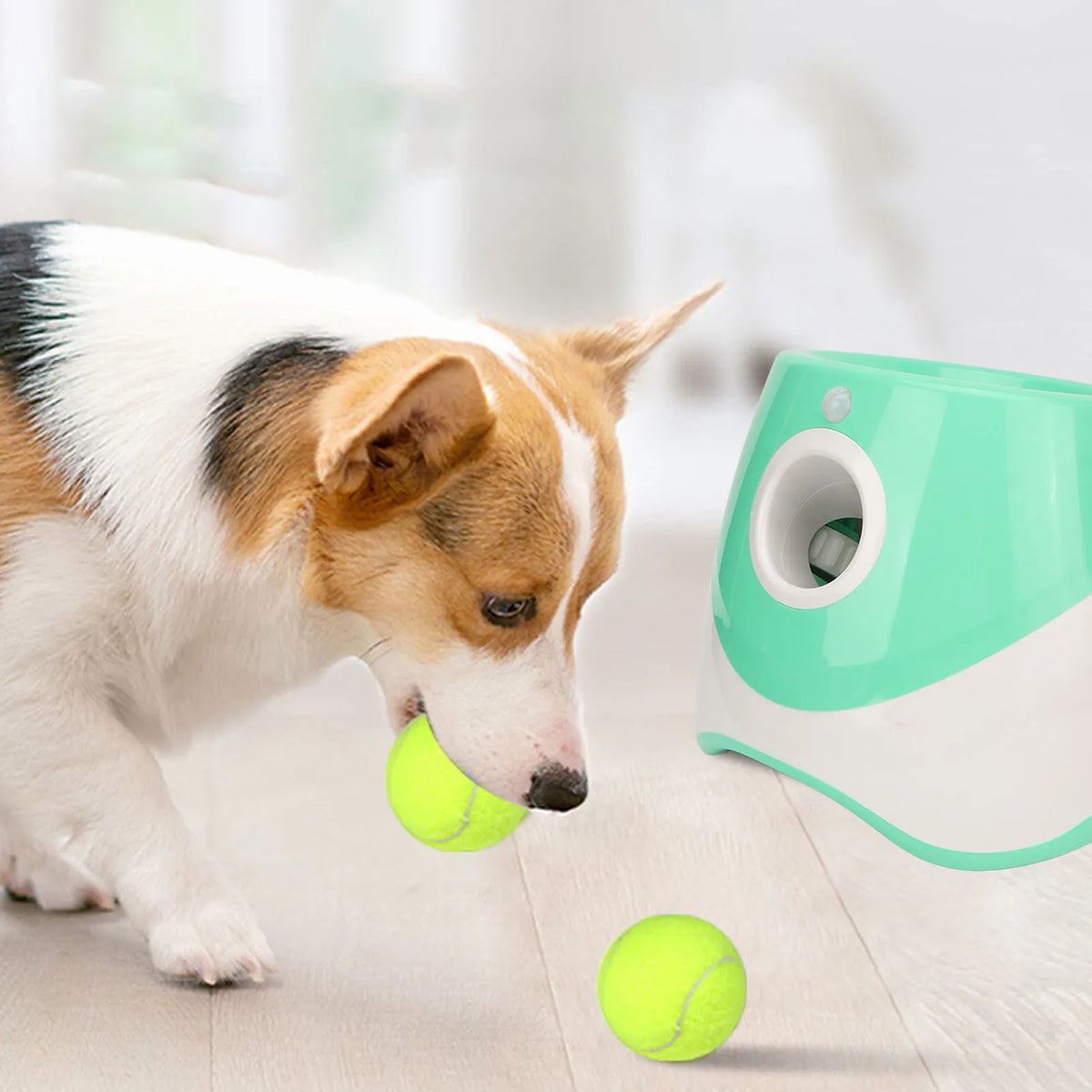 Lanzador Automático de Pelotas Recargable 3 Modos para Perros