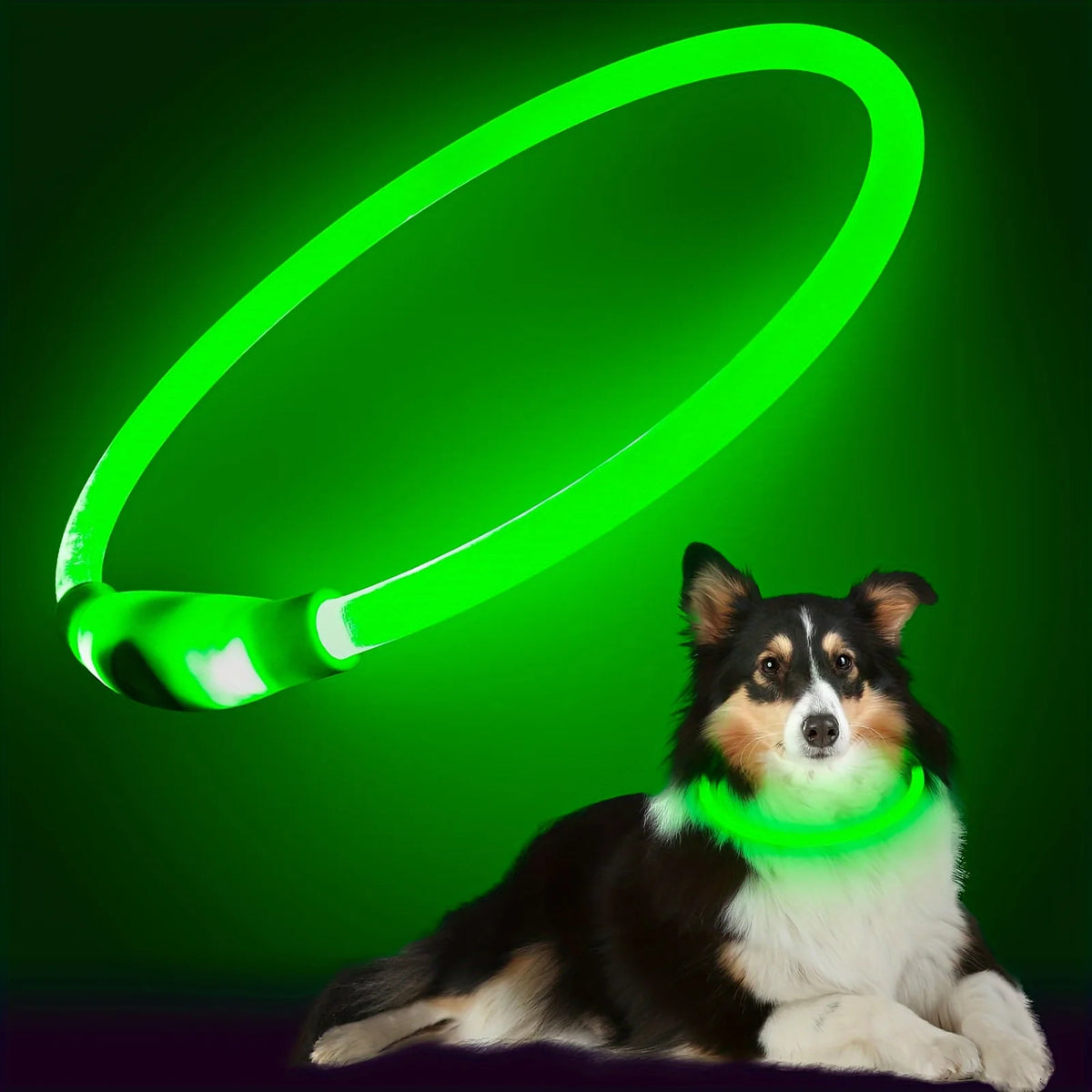 Collar LED Luminoso Recargable USB Antipérdida para Perros