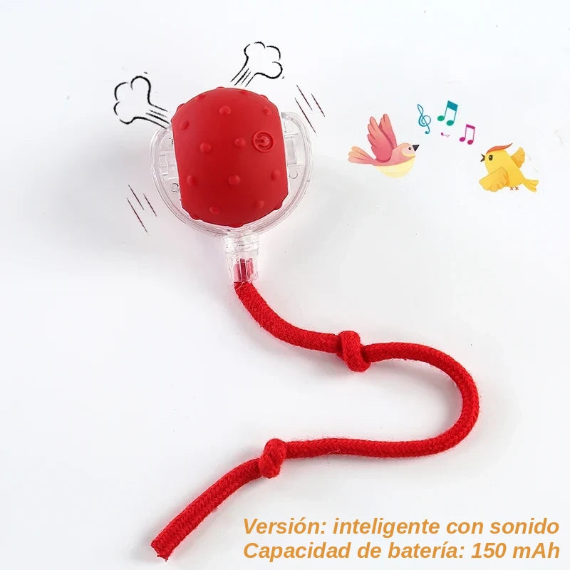 Pelota Interactiva Automática Recargable para Gatos