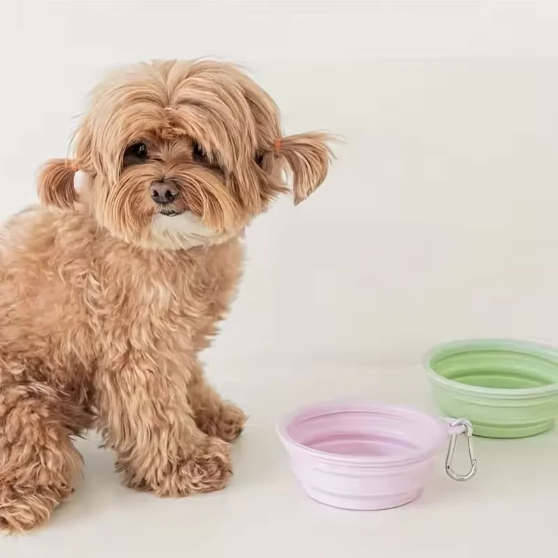 Bol Plegable de Silicona para Mascotas, Portátil para Viajes y Paseos