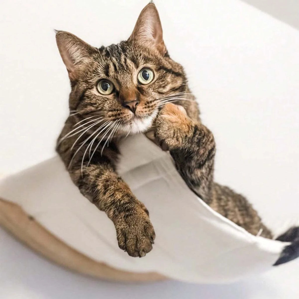 Hamaca de Pared para Gatos de Madera de Pino con Cojín de Algodón