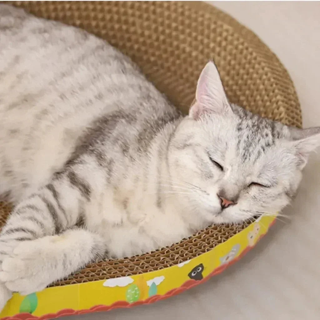 Rascador de Cartón Corrugado para Gatos: Nido Ovalado o Plancha con Ratón