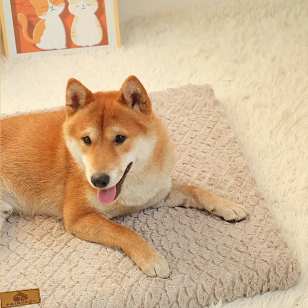 Cama Ortopédica 3D con Funda Desmontable y Lavable para Perros