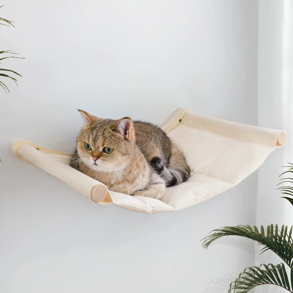 Hamaca de Pared para Gatos de Madera de Pino con Cojín de Algodón