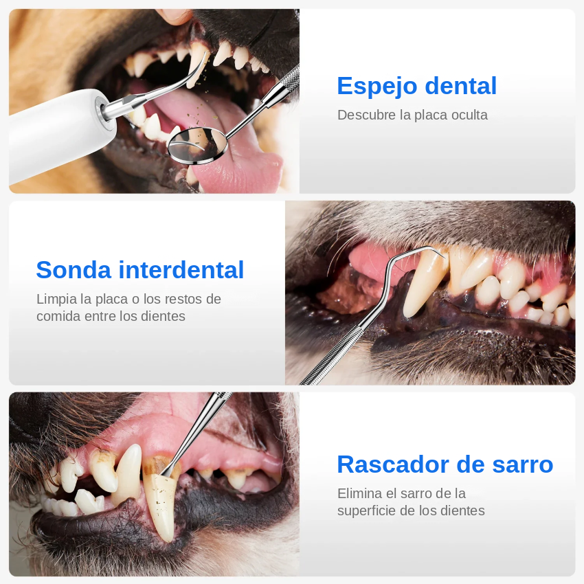 Limpiador Dental Eléctrico Ultrasónico Blanqueador para Perros y Gatos