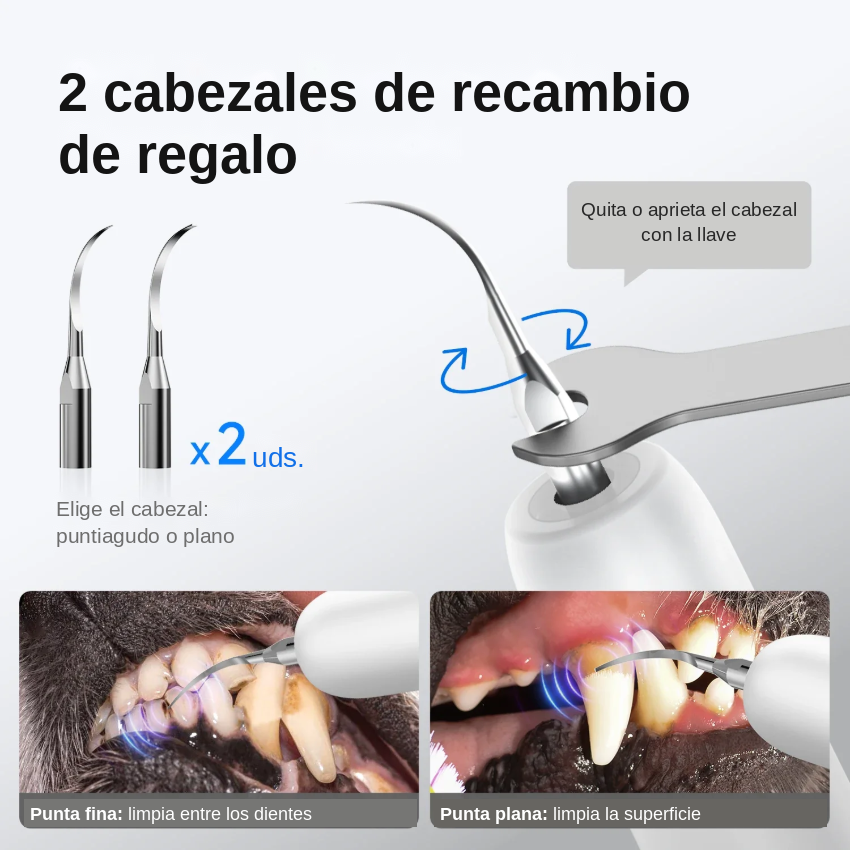 Limpiador Dental Eléctrico Ultrasónico Blanqueador para Perros y Gatos