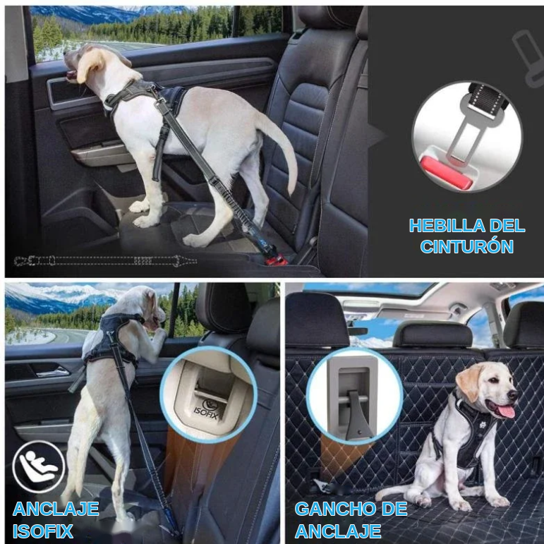 Cinturón de Seguridad para Coche Ajustable Reflectante para Perros