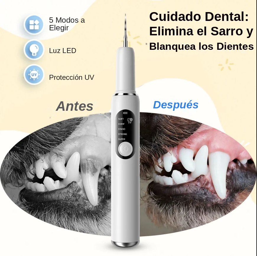 Escalador Dental Ultrasónico 5 Modos con Luz UV para Perros y Gatos