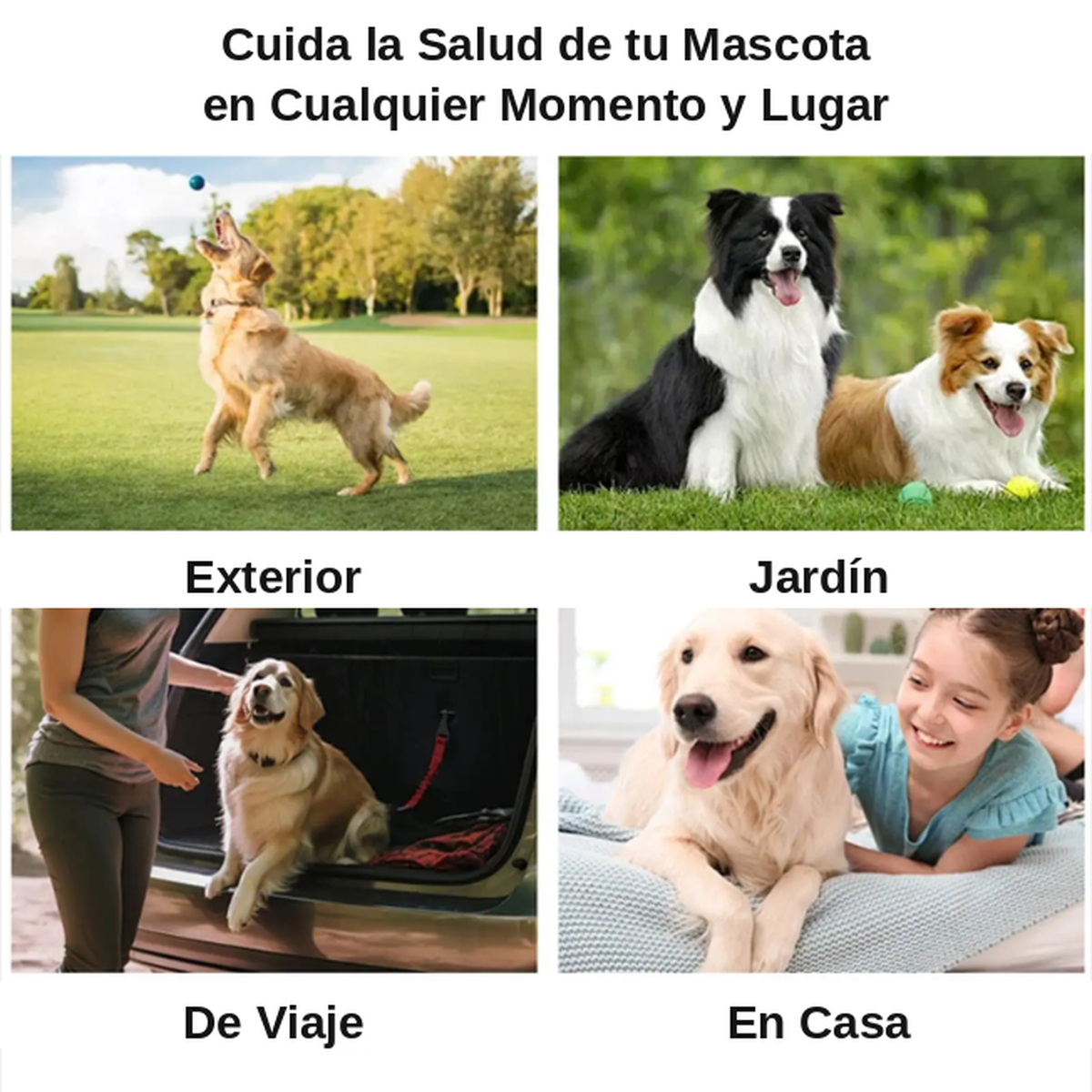 Toallitas Dentales Desechables para Perros y Gatos (50 uds)