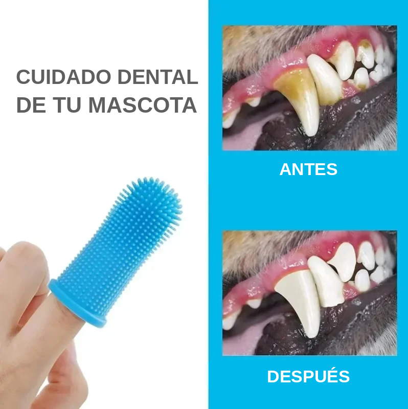 Kit de Cepillos de Dedo de Silicona para Perros y Gatos