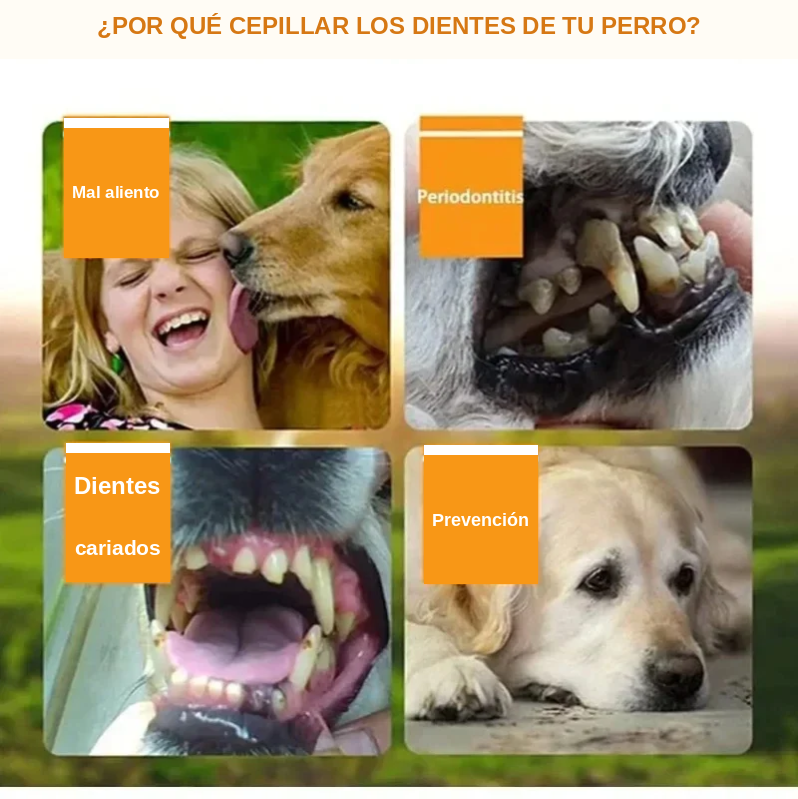 Kit de Cepillos de Dedo de Silicona para Perros y Gatos